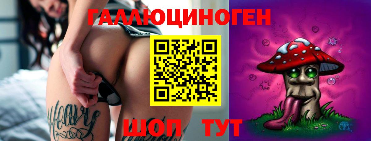 Псилоцибиновые грибы прущие грибы  Псилоцибиновые грибы мухоморы  Черняховск  Вход с VPN 